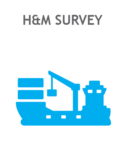 H M Survey Ikon
